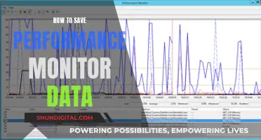 Performance Monitor Data: Save and Secure Your Insights