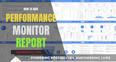 Performance Monitor Reports: Save and Secure Your Data