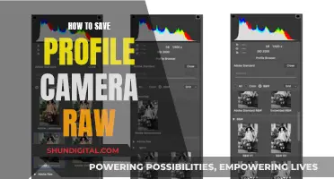 Mastering Camera Raw: Save Your Profile Like a Pro