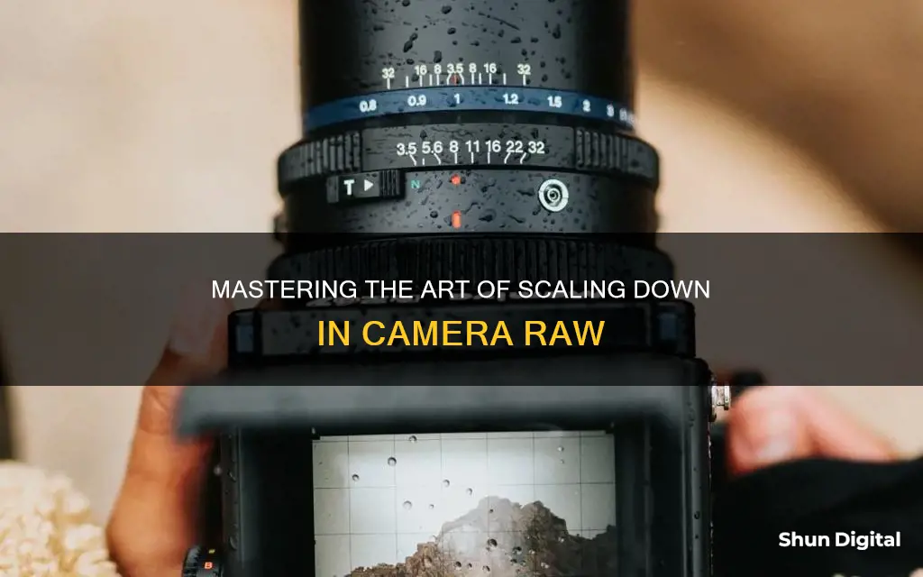 how to scale down in camera raw