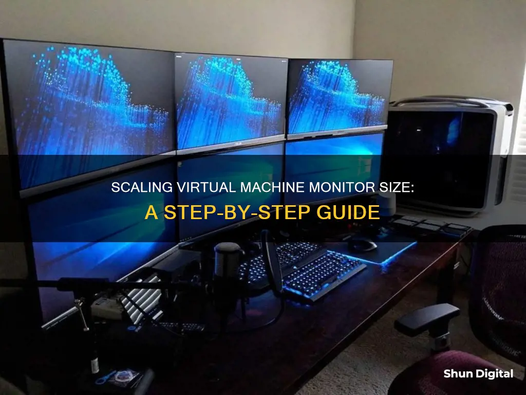 how to scale vm monitor size