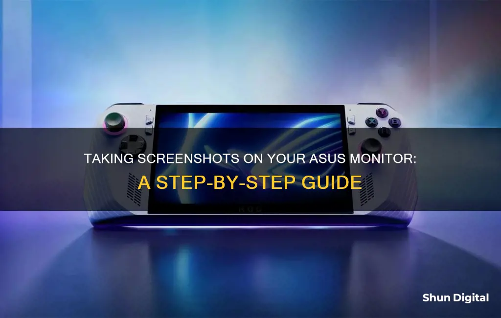 how to screenshot on asus monitor