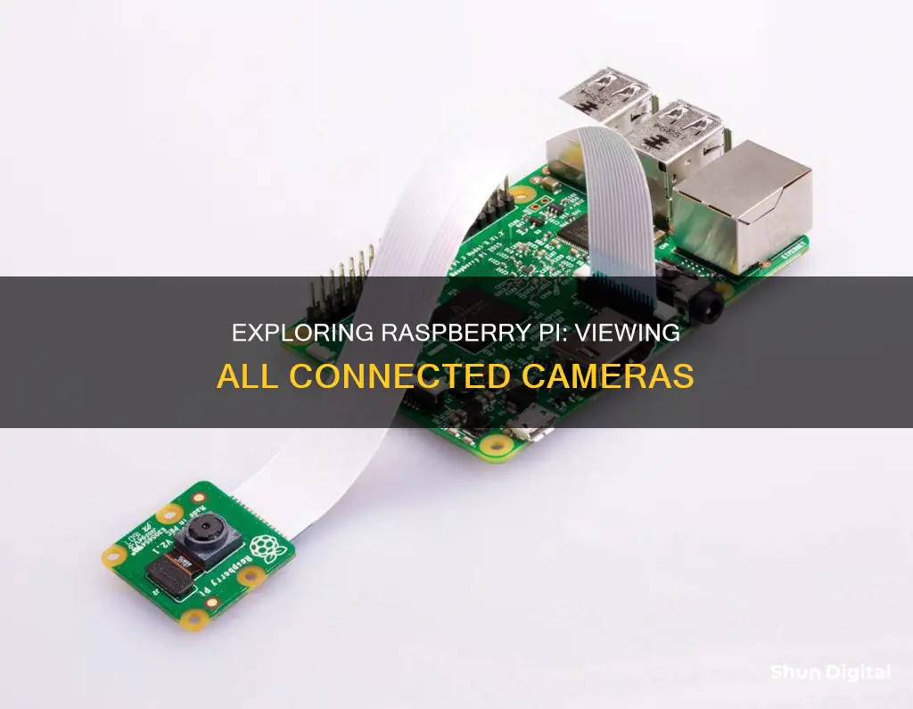 how to see a list of cameras on raspberry pi