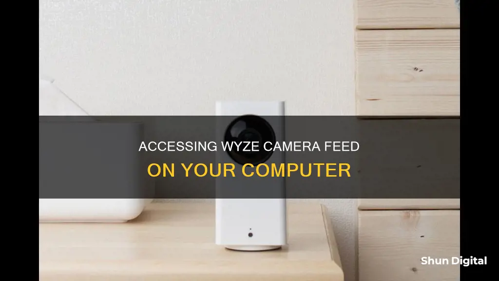 how to see a wyze camera through my computer