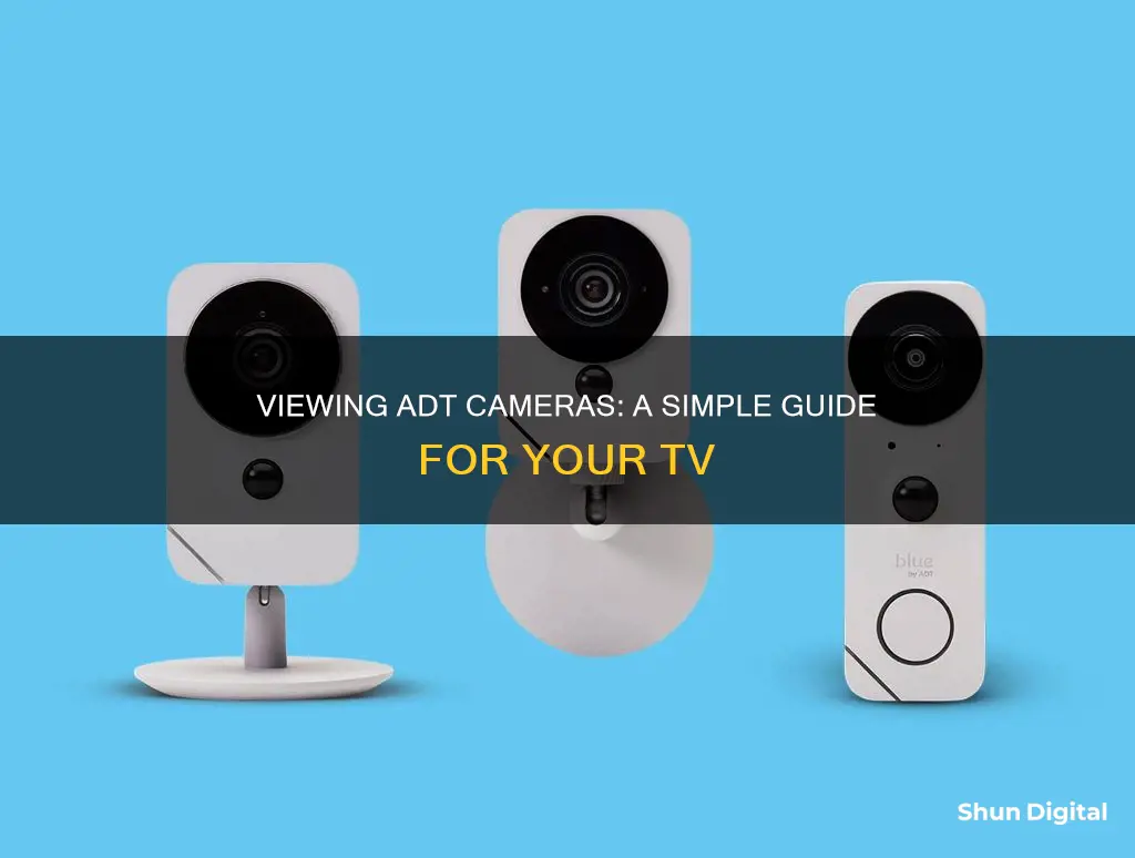 how to see adt camera on tv