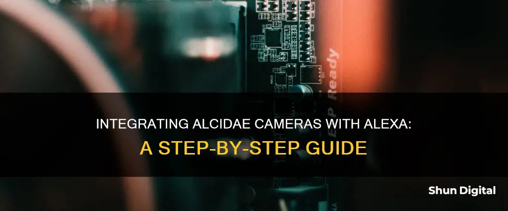 how to see alcidae camera with alexa