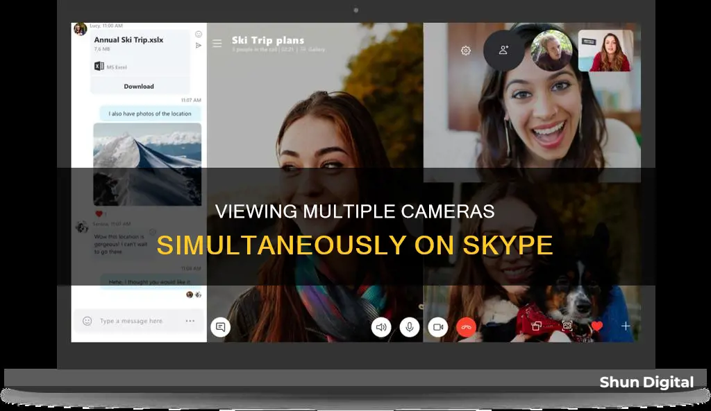 how to see all cameras at one time in skype