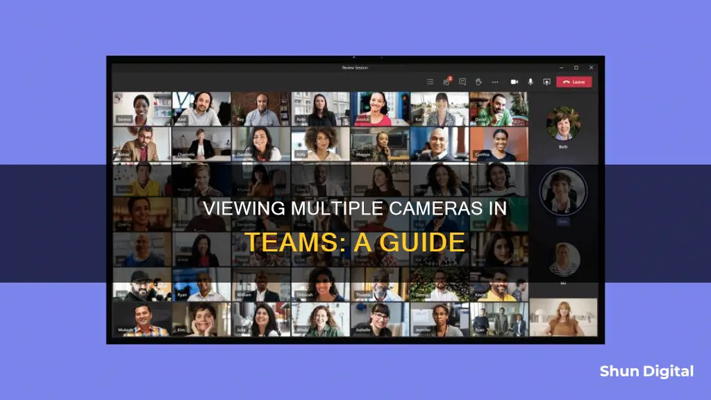 how to see all participants camera in teams