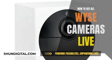 Wyse Cameras: Live Viewing and Comprehensive Access