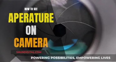 Mastering Camera Apertures: Where to Find and How to See