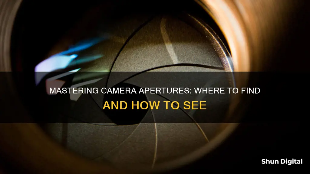 how to see aperature on camera