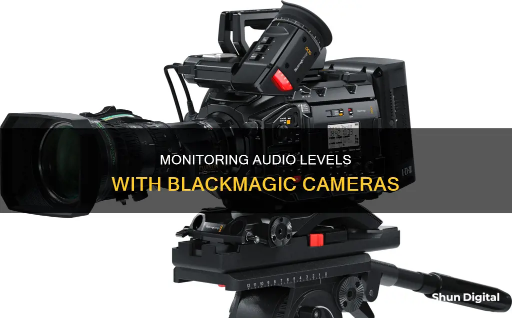 how to see audio levels blackmagic camera