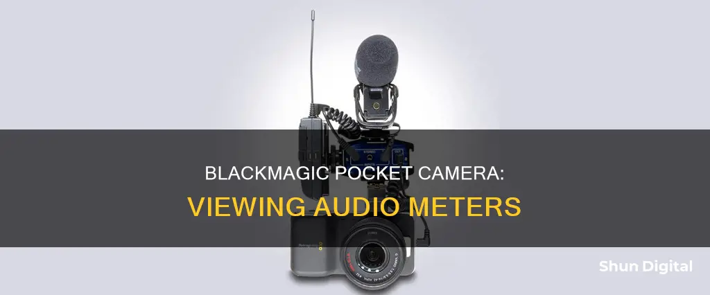 how to see audio meters blackmagic pocet camera