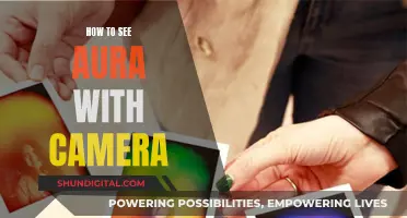 Unveiling the Invisible: Capturing Auras with a Camera