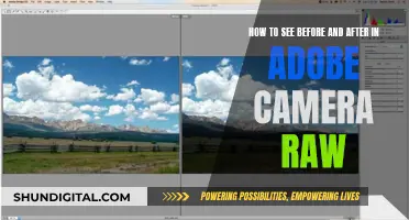 Enhancing Photos: Adobe Camera Raw's Before and After Feature