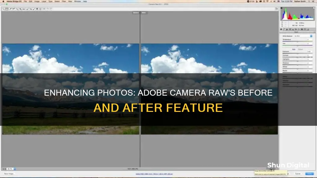 how to see before and after in adobe camera raw