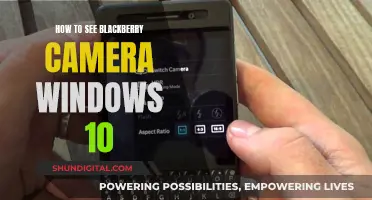 Blackberry Camera Visibility on Windows 10