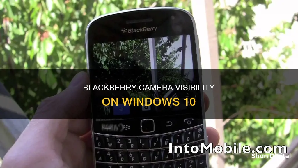 how to see blackberry camera windows 10