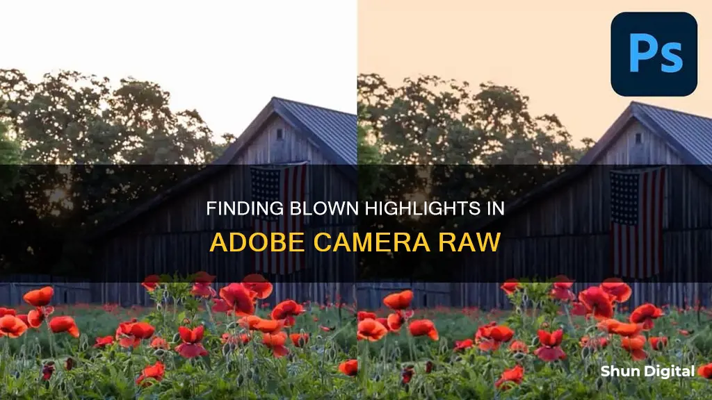 how to see blown highlights in adobe camera raw