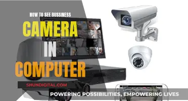 Accessing Business Security Cameras: Computer Viewing