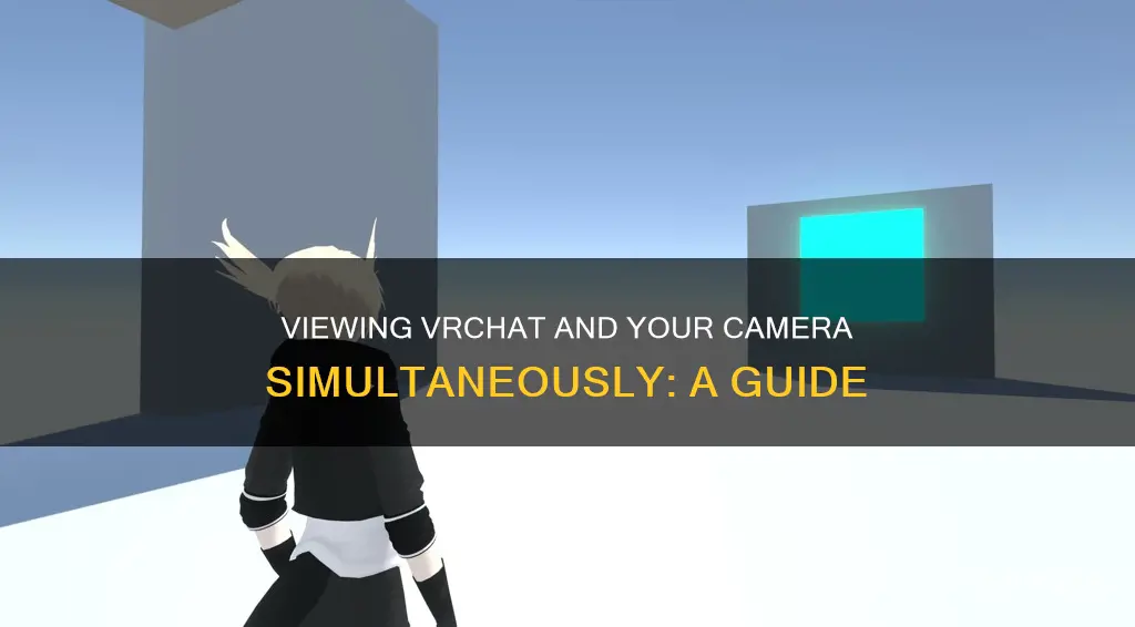 how to see camera and vrchat at the same time