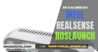 Exploring Intel RealSense Camera Data with ROSlaunch