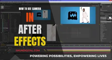 Exploring Cameras in After Effects: A Beginner's Guide