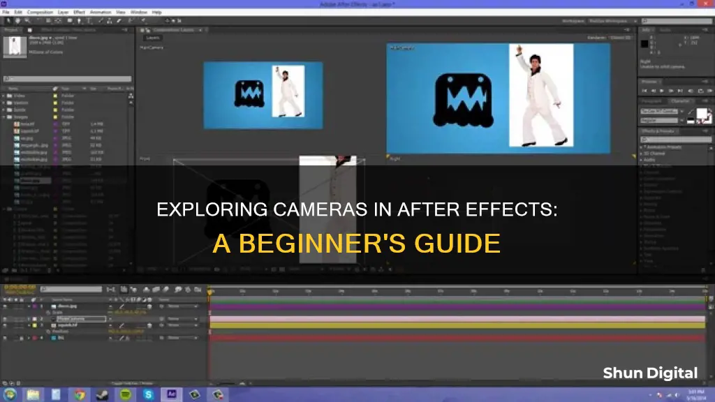 how to see camera in after effects