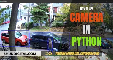 Exploring Python's Camera Vision: Access and Control