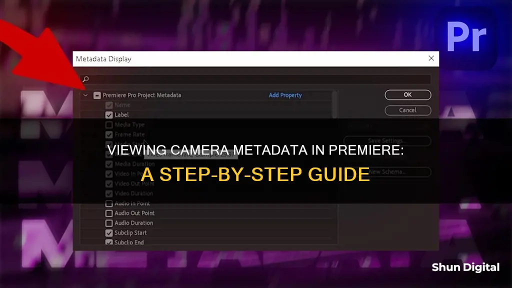 how to see camera metadata in premiere