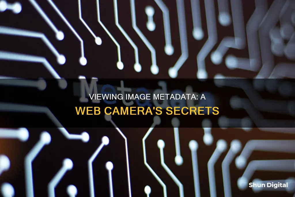 how to see camera metadata of an image on web