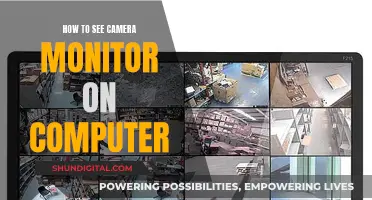 Viewing Camera Feeds: Monitor Display on Your Computer