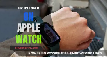 Exploring Apple Watch: Accessing the Camera Functionality