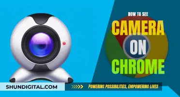 Unlocking Camera Access for Chrome: A Step-by-Step Guide