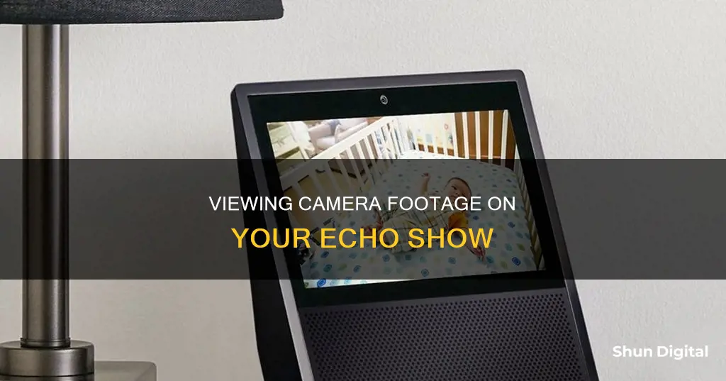 how to see camera on echo show