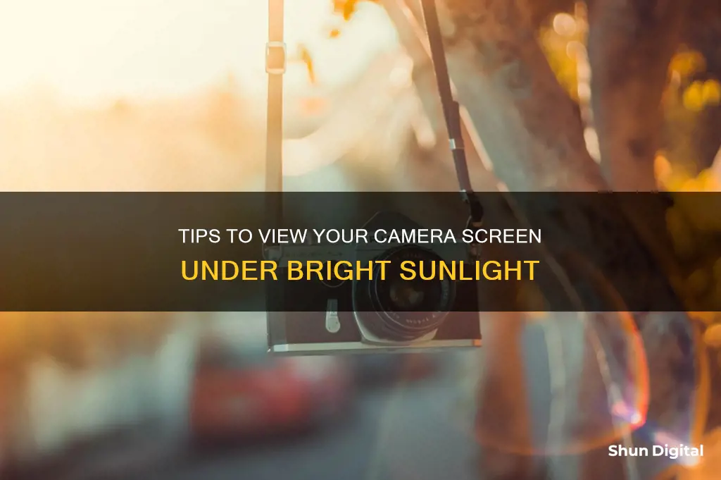 how to see camera screen in sunlight