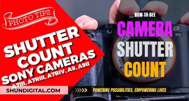 Unveiling Your Camera's Shutter Count: A Step-by-Step Guide