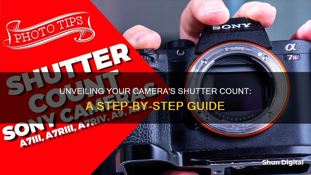 how to see camera shutter count