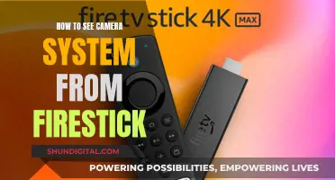 Viewing Camera Systems via Fire TV Stick