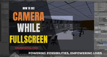 Viewing Camera While Fullscreen: A Simple Guide