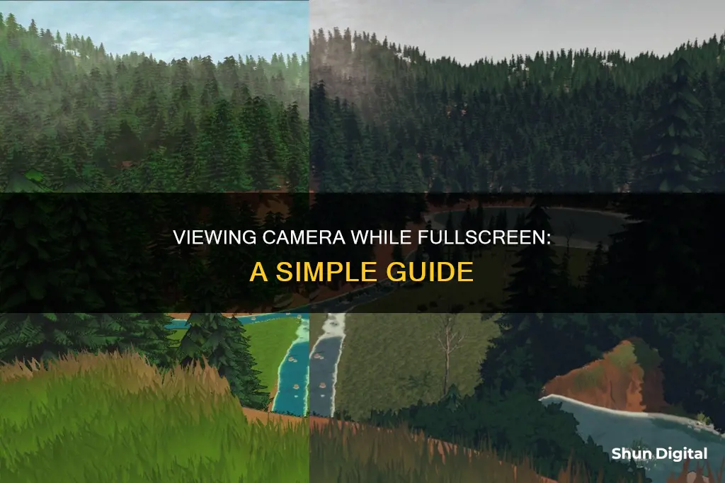 how to see camera while fullscreen