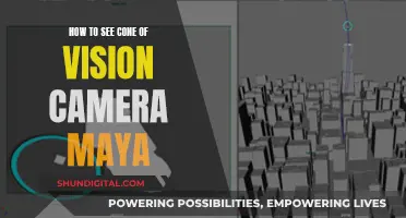 Understanding Maya's Cone of Vision Camera: A Guide