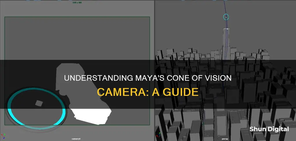 how to see cone of vision camera maya