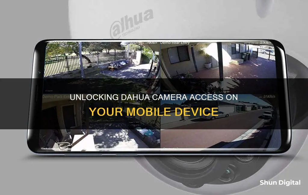 how to see dahua camera in mobile