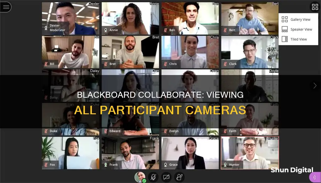 how to see everyone camera on blackboard collaborate