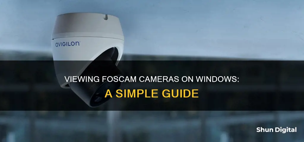 how to see foscam camera in windows