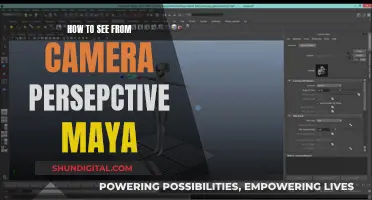 Mastering Camera Perspective in Maya: A Guide