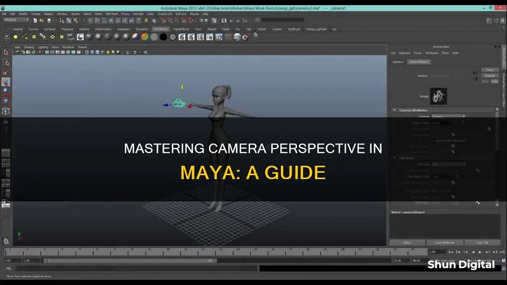 how to see from camera persepctive maya