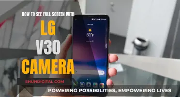 Using LG V30 Camera: Full-Screen View Guide