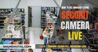 Grocery Store Security: Live Camera Access Explained